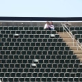 Which Baseball Teams in Contra Costa County, California Have the Best Managers?